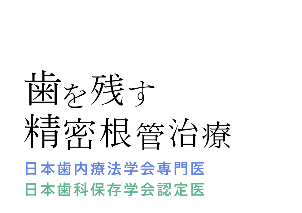 日本歯内療法学会専門医・日本歯科保存学会認定医